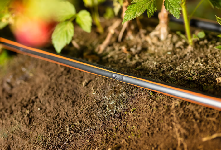 Netafim drip irrigation