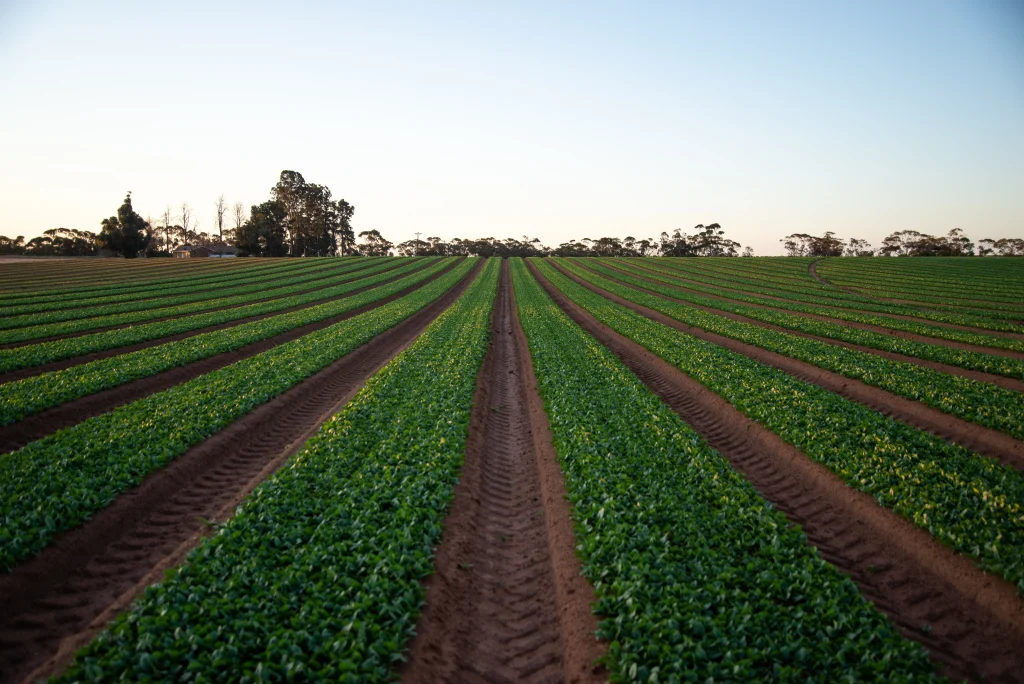 agricultural crop irrigation pump solutions Lowara think water darwin