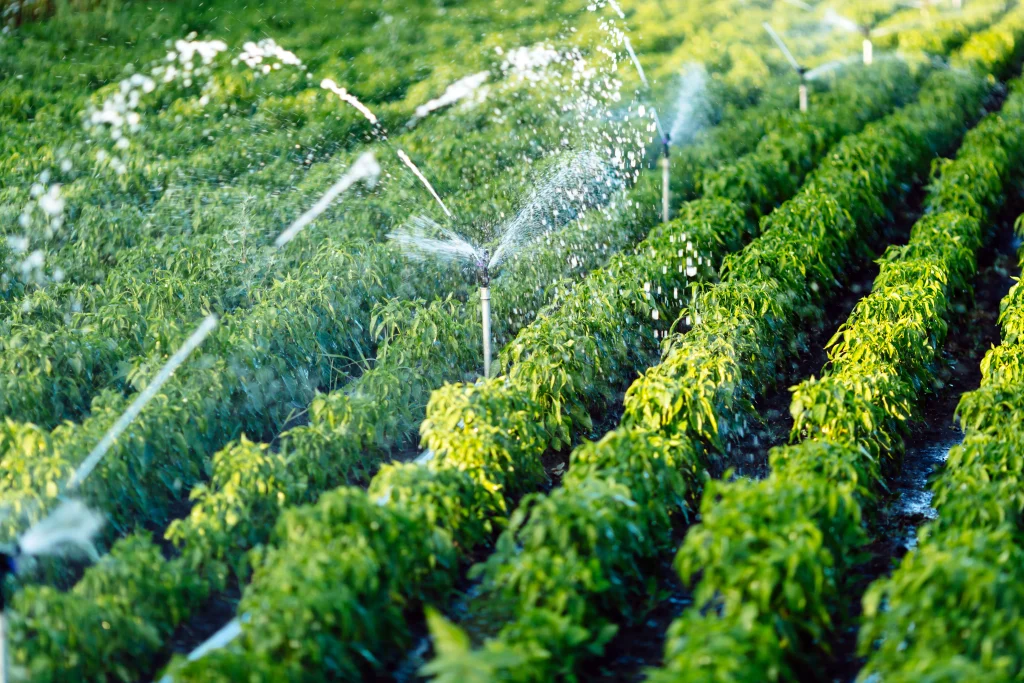 irrigation in agriculture crop farm