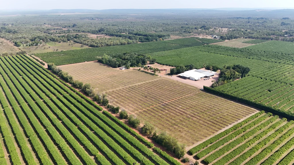 Acacia Hill Farm Automated Irrigation System drone shot