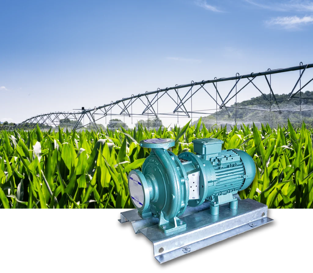 Pentair ISO Motor Pump