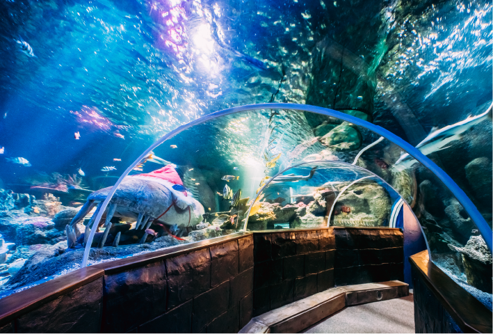 aquaculture waterco solutions